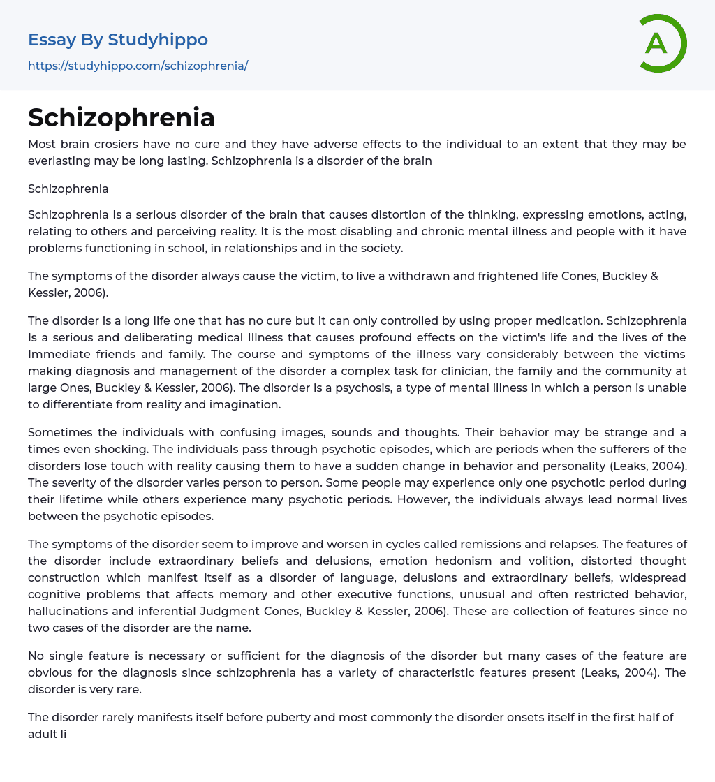 Schizophrenia Essay Example