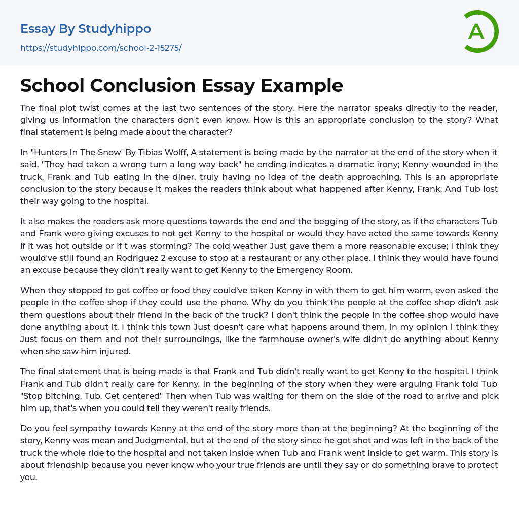 School Conclusion Essay Example