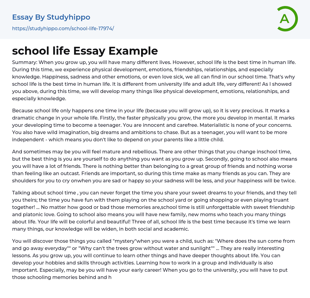 school life Essay Example