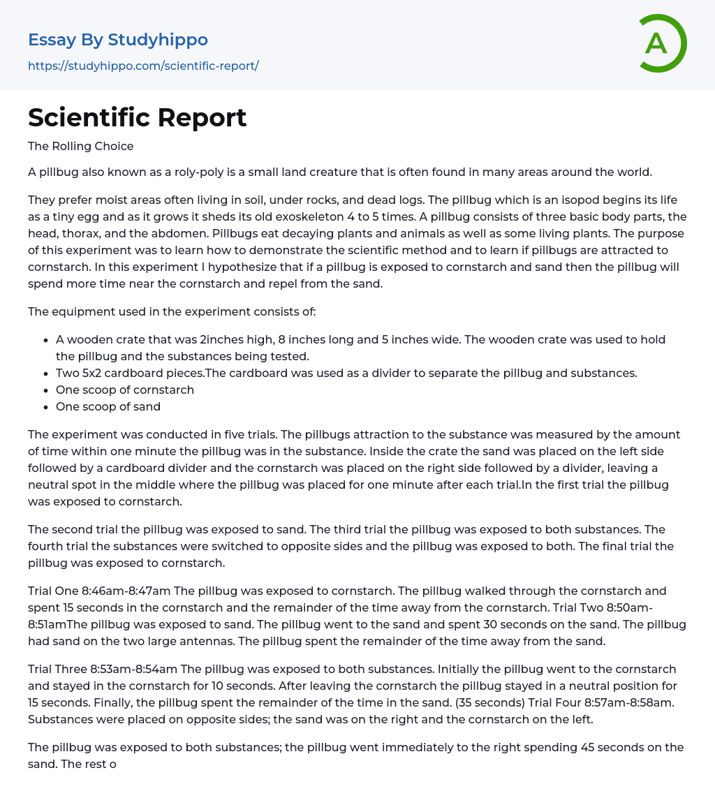 Scientific Report Essay Example
