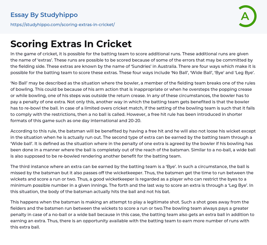 Scoring Extras In Cricket Essay Example