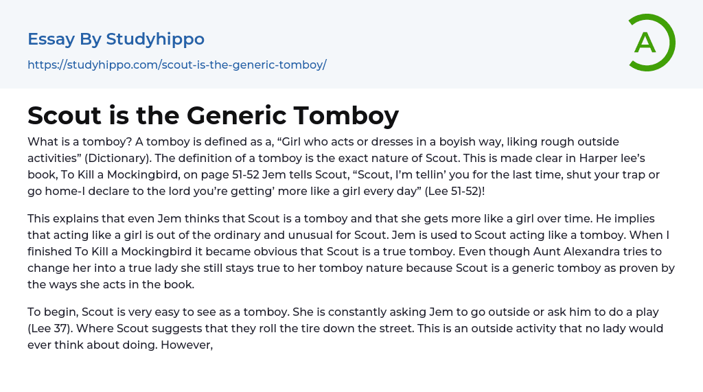 Scout is the Generic Tomboy Essay Example