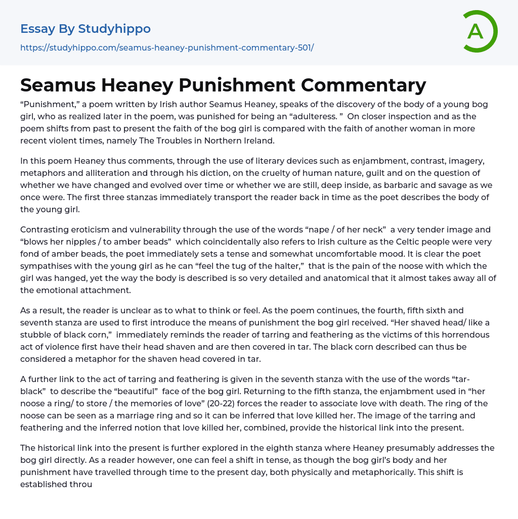Seamus Heaney Punishment Commentary Essay Example