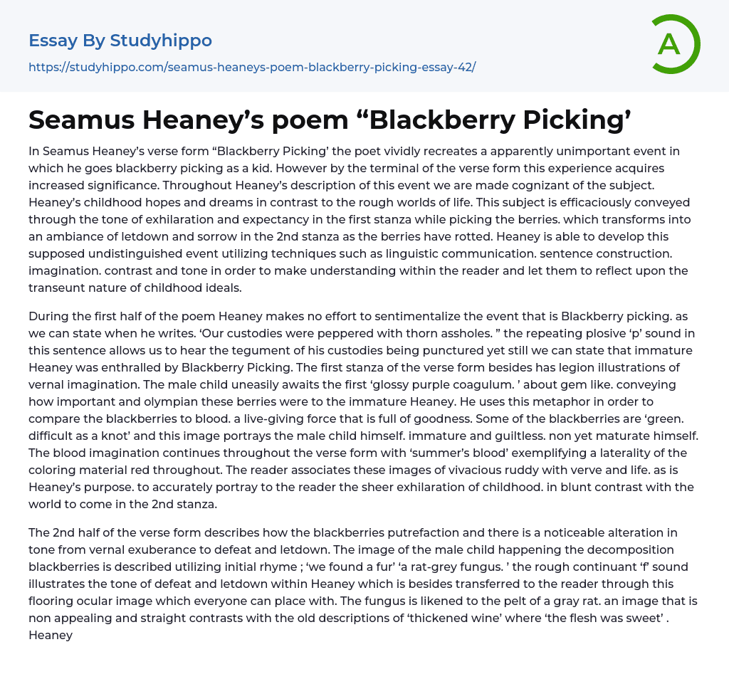 Seamus Heaney’s poem “Blackberry Picking’ Essay Example