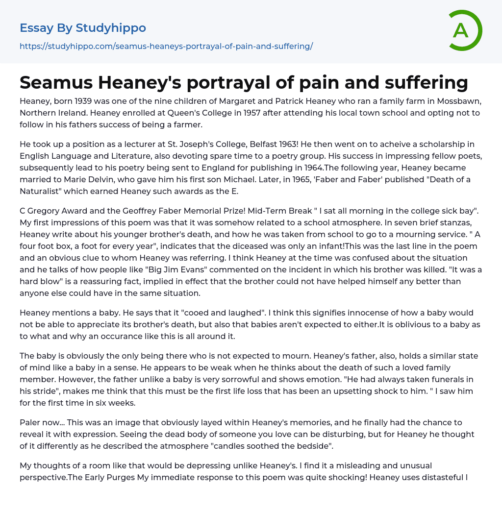 Seamus Heaney’s portrayal of pain and suffering Essay Example