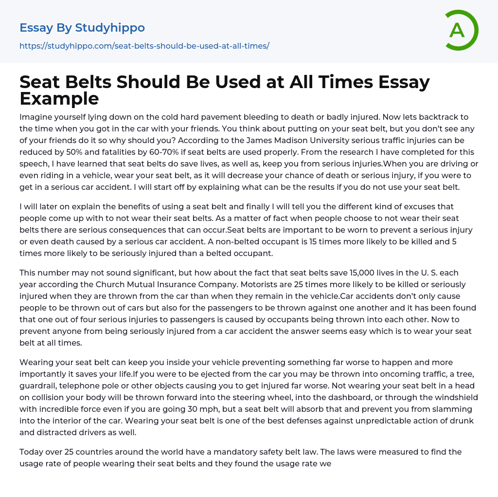 Seat Belts Should Be Used at All Times Essay Example