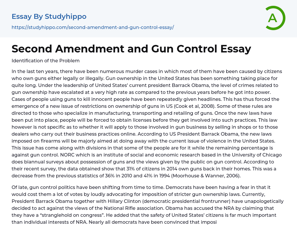 gun rights and gun control essay