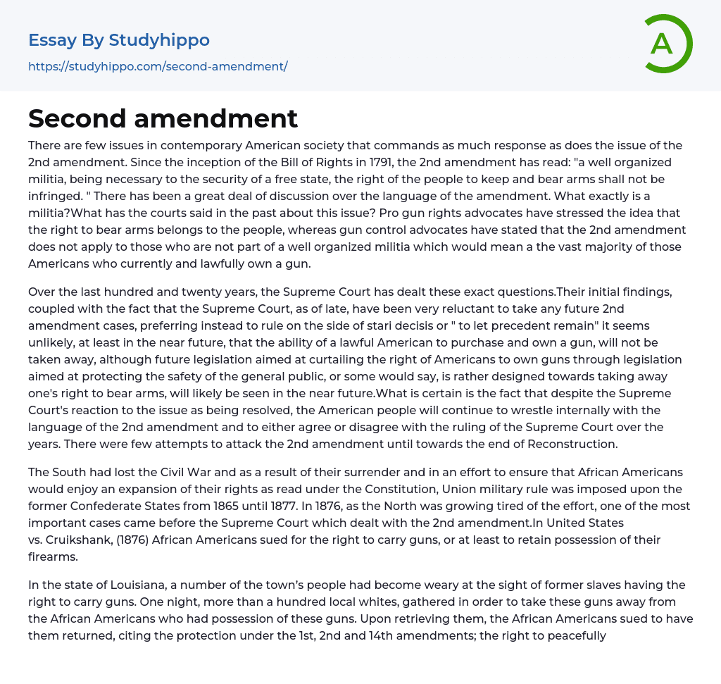 Second amendment Essay Example