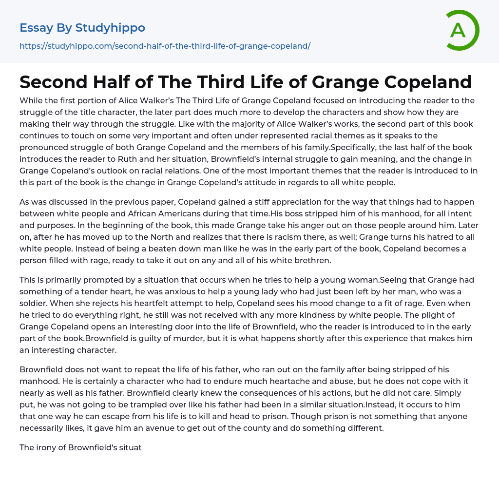 Second Half of The Third Life of Grange Copeland Essay Example