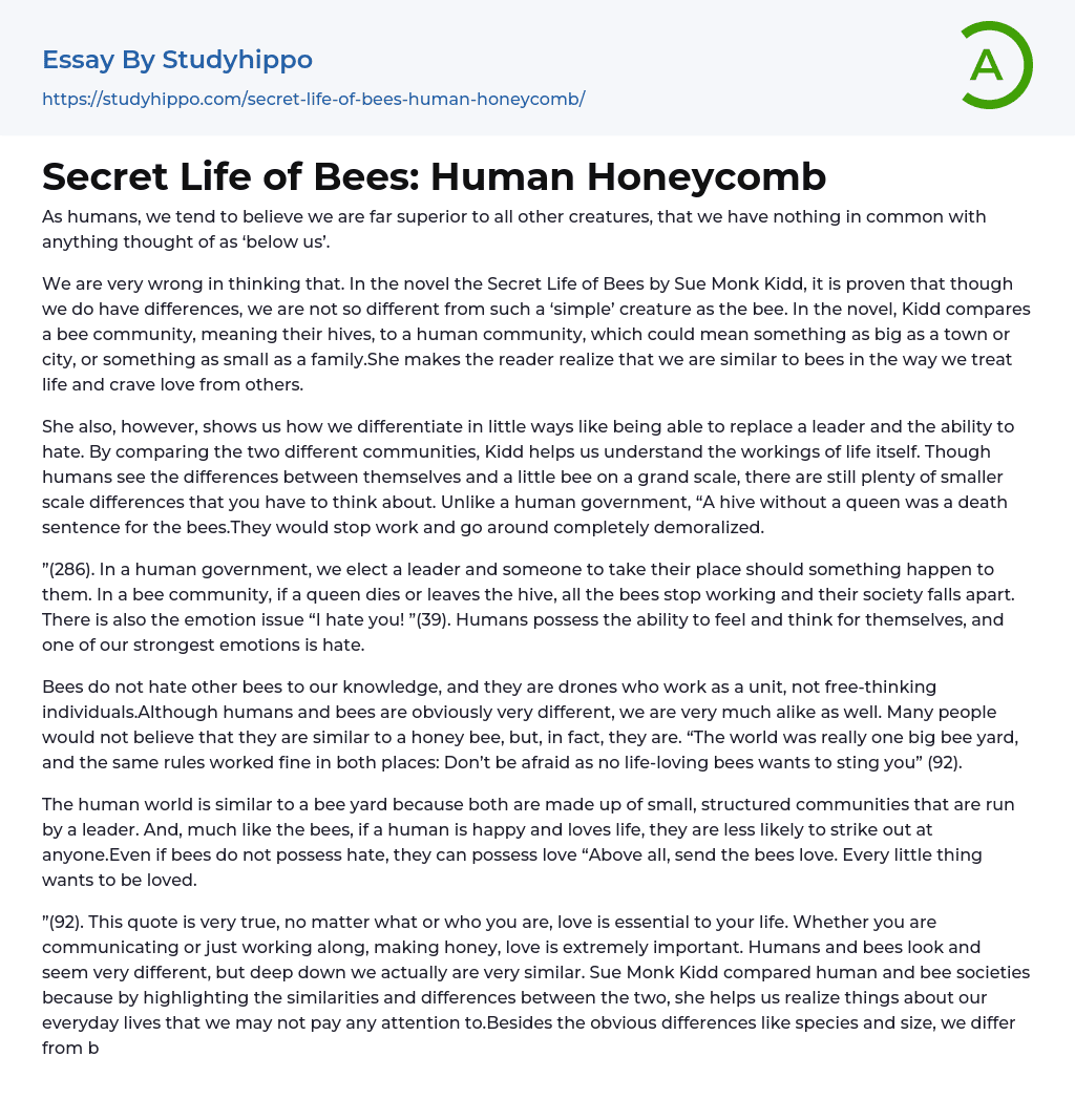 Secret Life of Bees: Human Honeycomb Essay Example