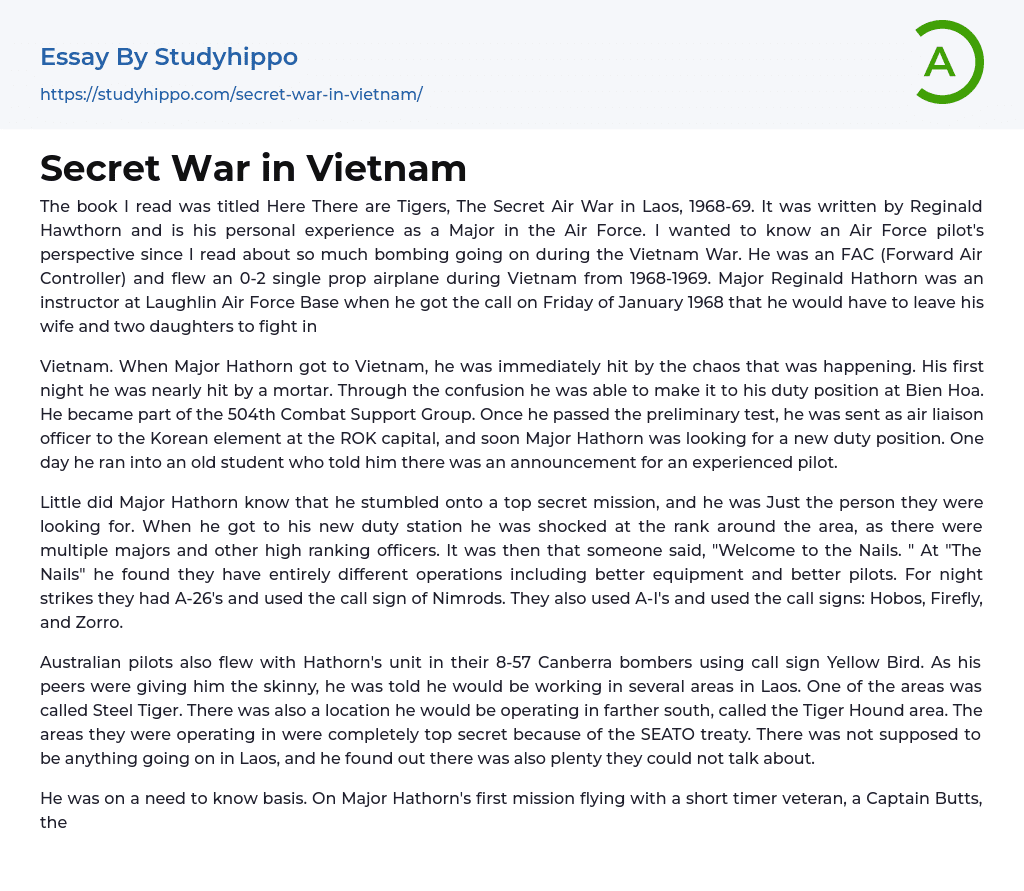 Secret War in Vietnam Essay Example