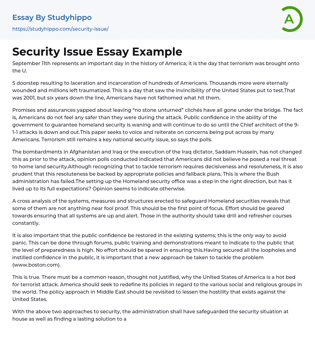 Security Issue Essay Example