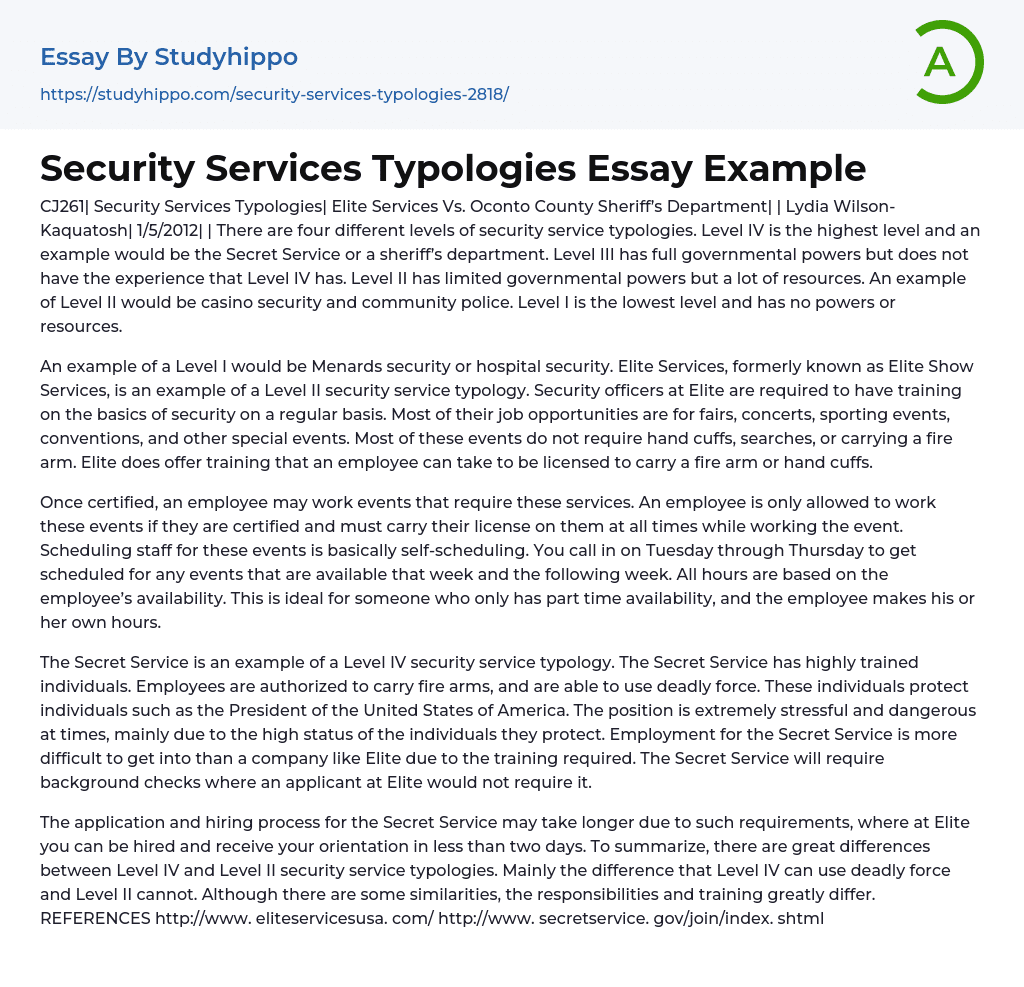 Security Services Typologies Essay Example