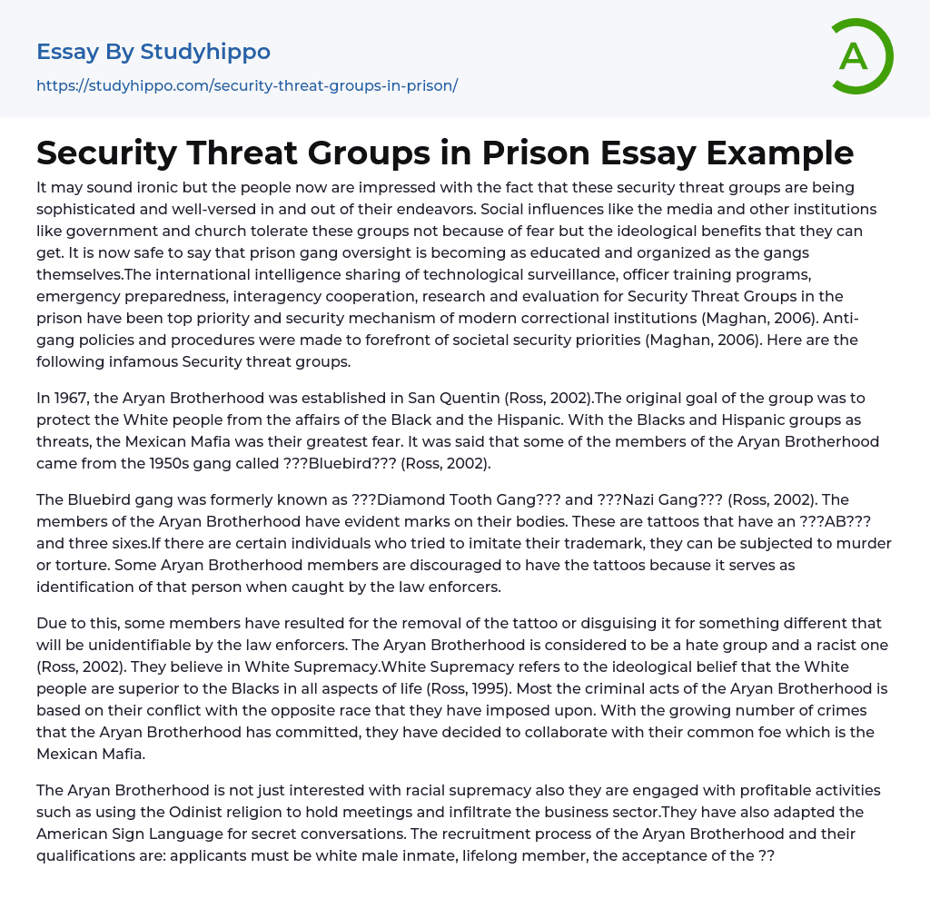 Security Threat Groups in Prison Essay Example