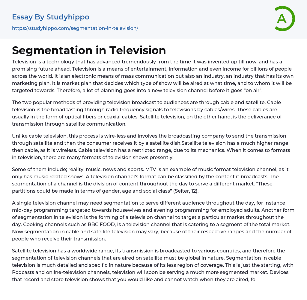 Segmentation in Television Essay Example