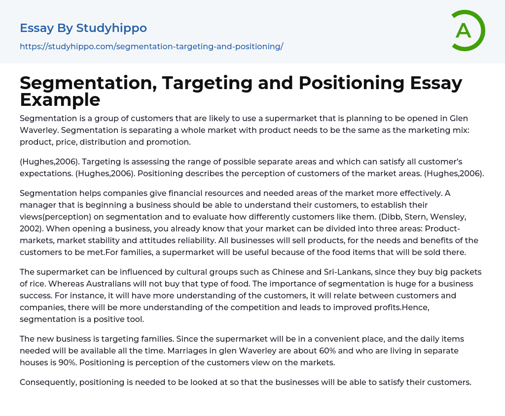 Segmentation, Targeting and Positioning Essay Example