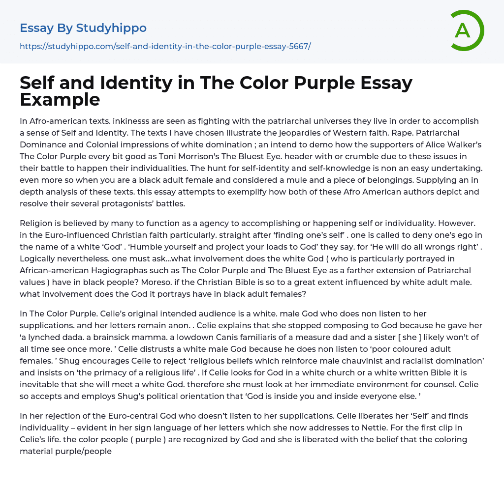 Self and Identity in The Color Purple Essay Example