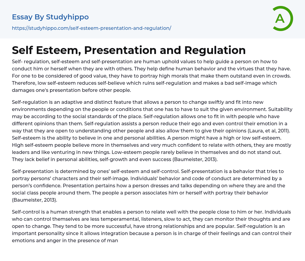 Self Esteem, Presentation and Regulation Essay Example