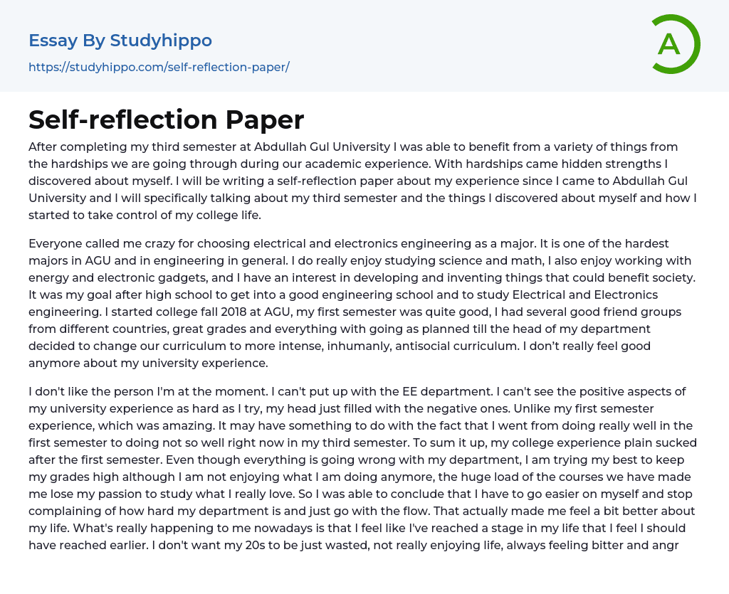 Self-reflection Paper Essay Example