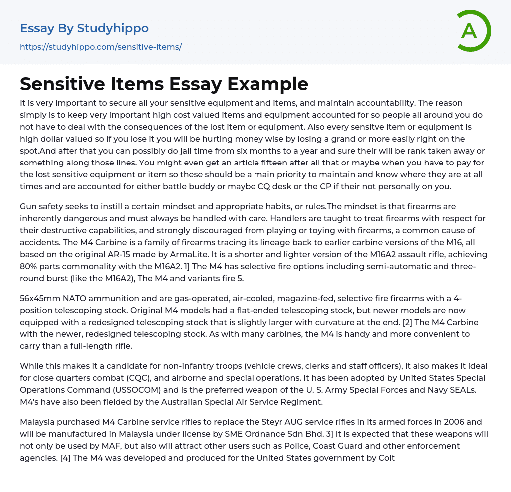 Sensitive Items Essay Example