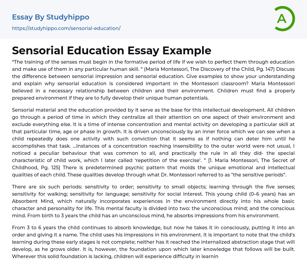 Sensorial Education Essay Example
