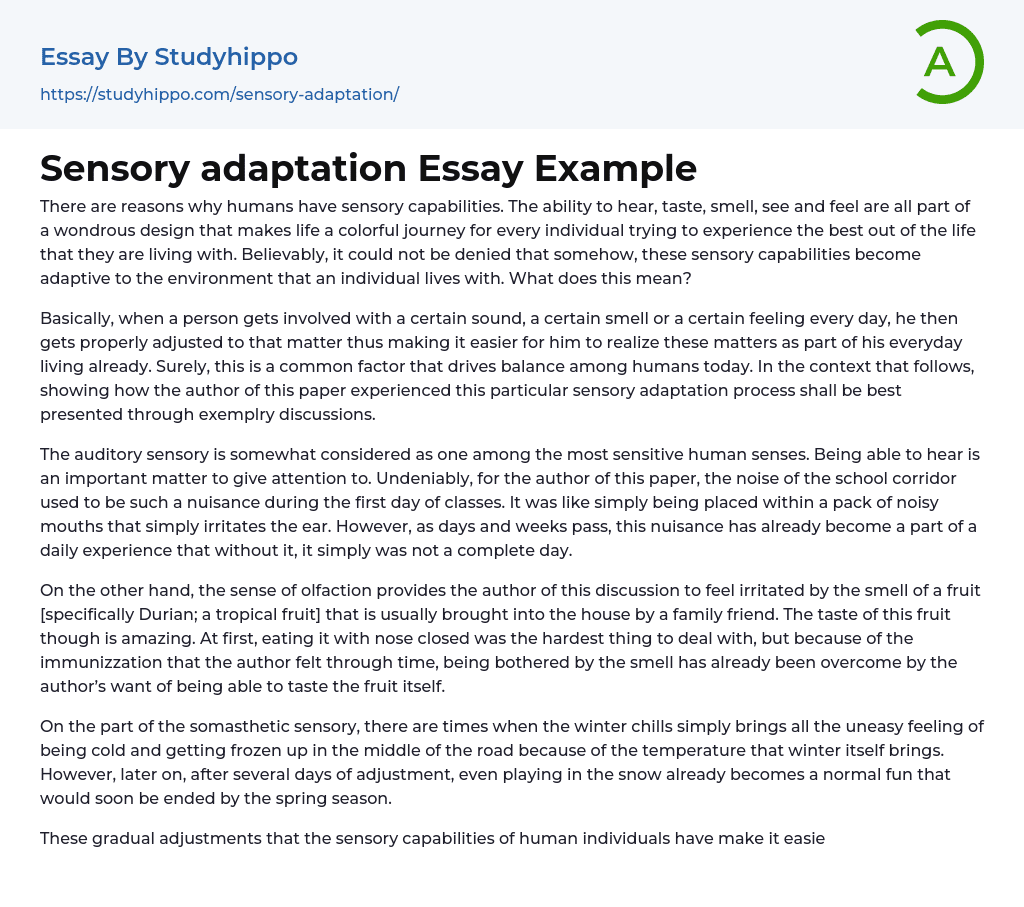 Sensory adaptation Essay Example