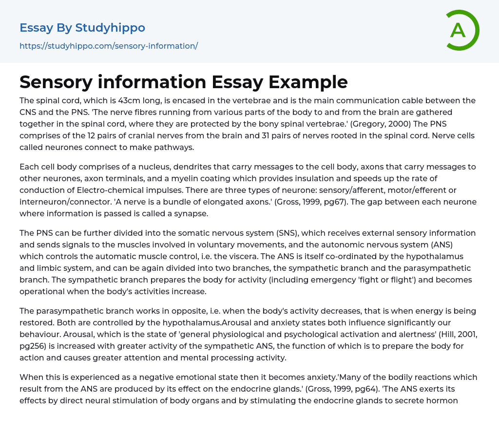 Sensory information Essay Example