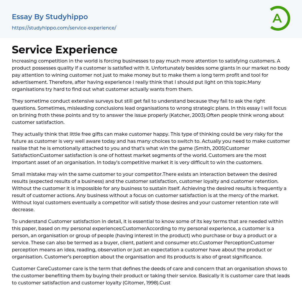 Service Experience Essay Example
