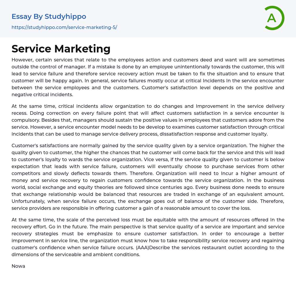 Service Marketing Essay Example