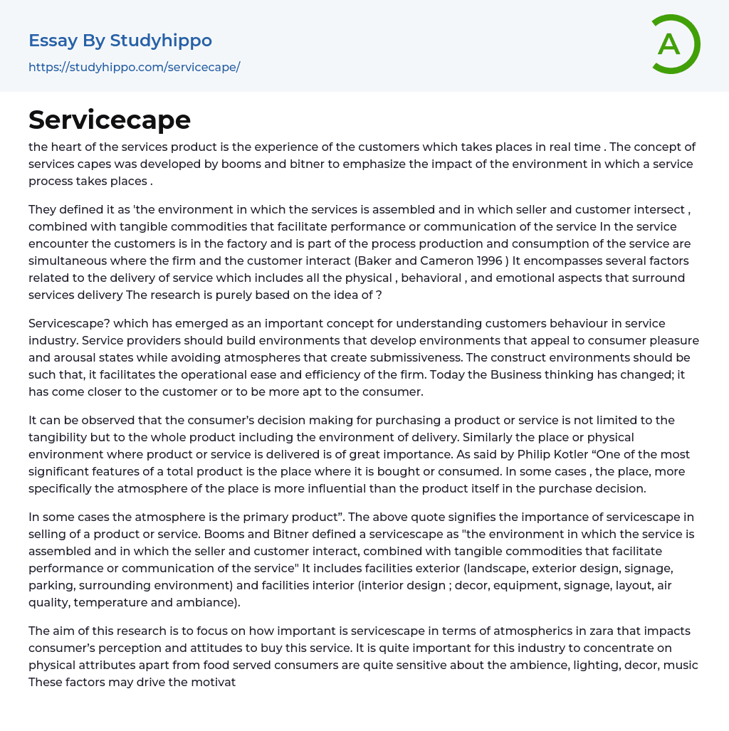 Servicecape Essay Example