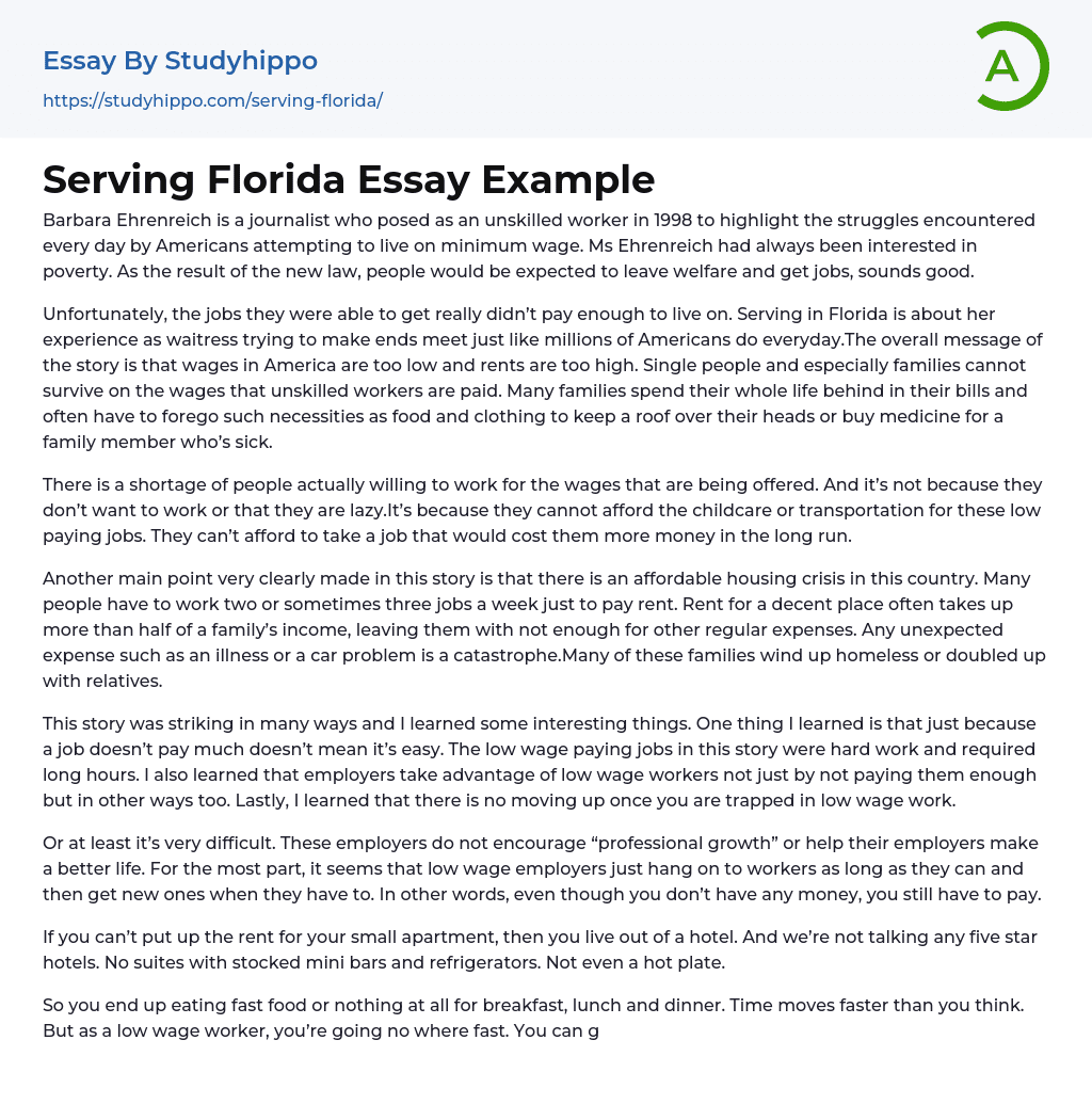 Serving Florida Essay Example