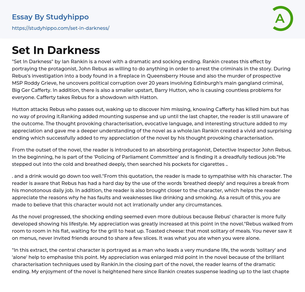 Set In Darkness Essay Example