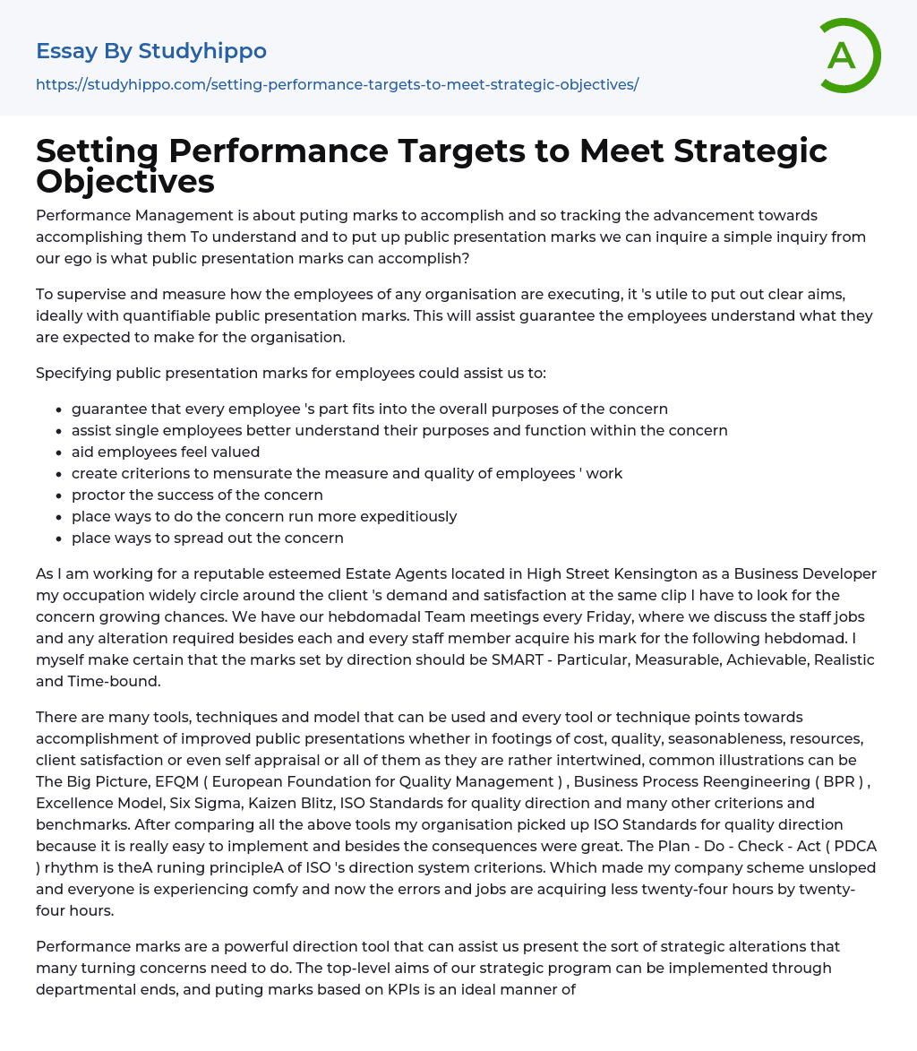 Setting Performance Targets to Meet Strategic Objectives Essay Example