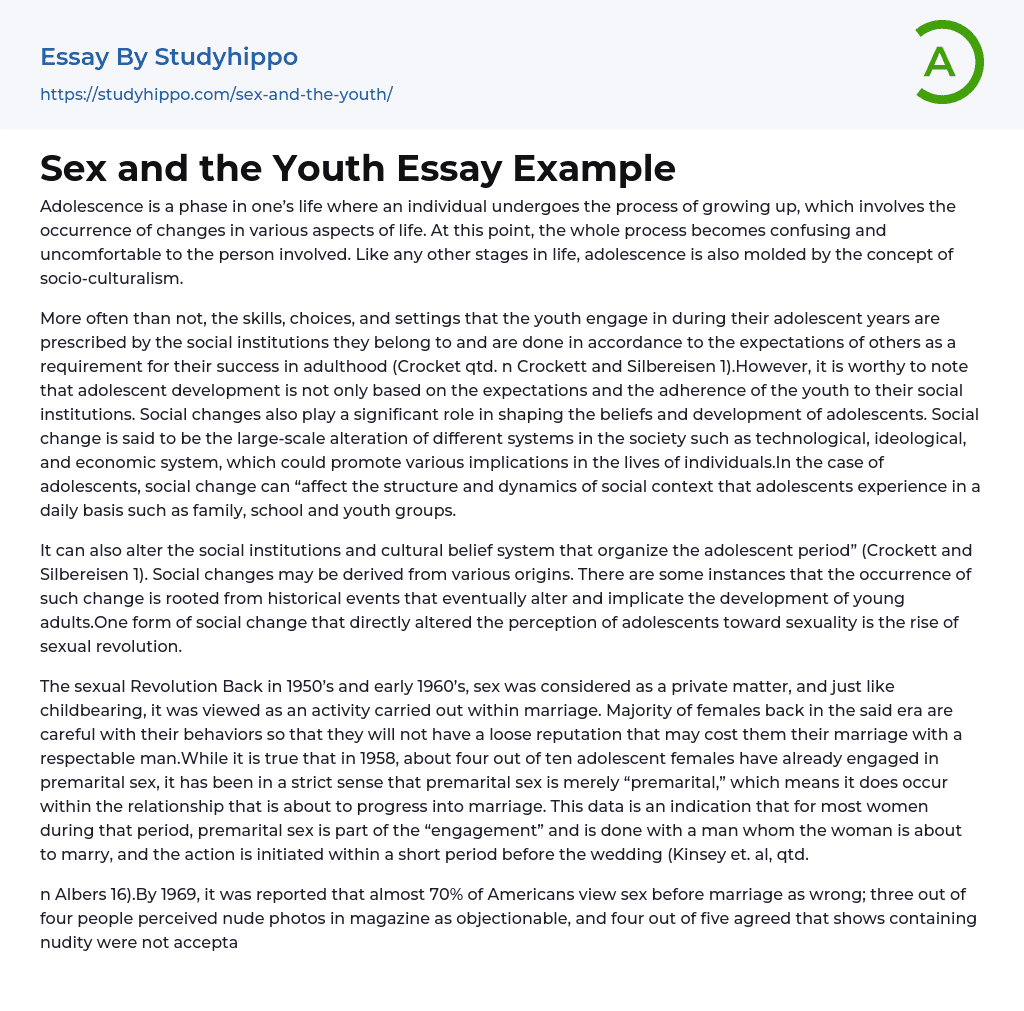 Sex and the Youth Essay Example