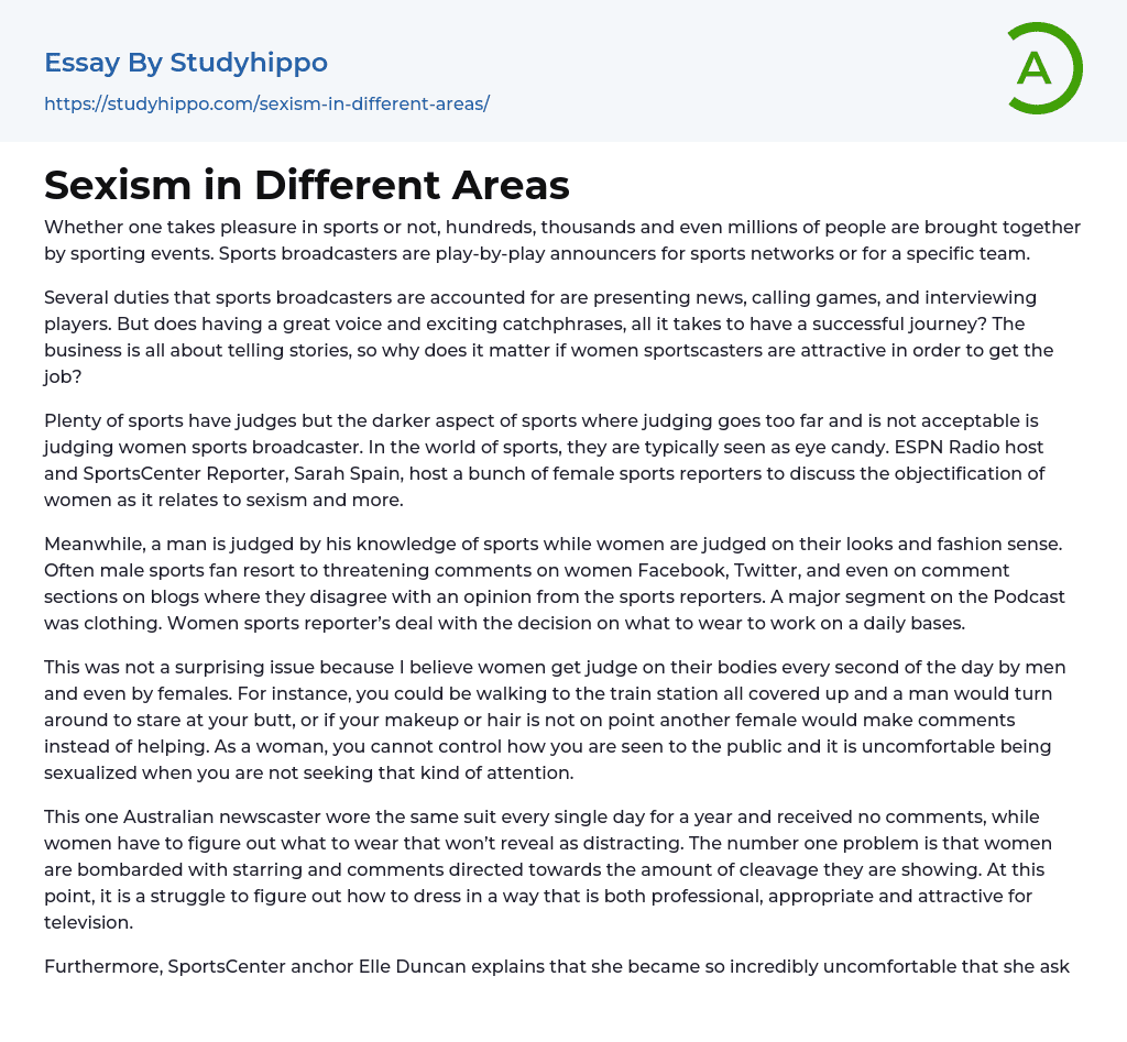 Sexism in Different Areas Essay Example