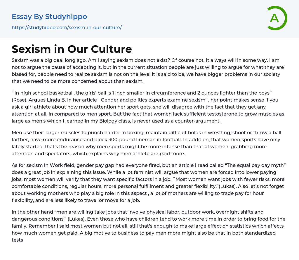 Sexism in Our Culture Essay Example