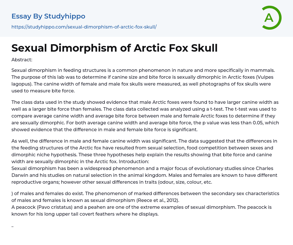 Sexual Dimorphism of Arctic Fox Skull Essay Example