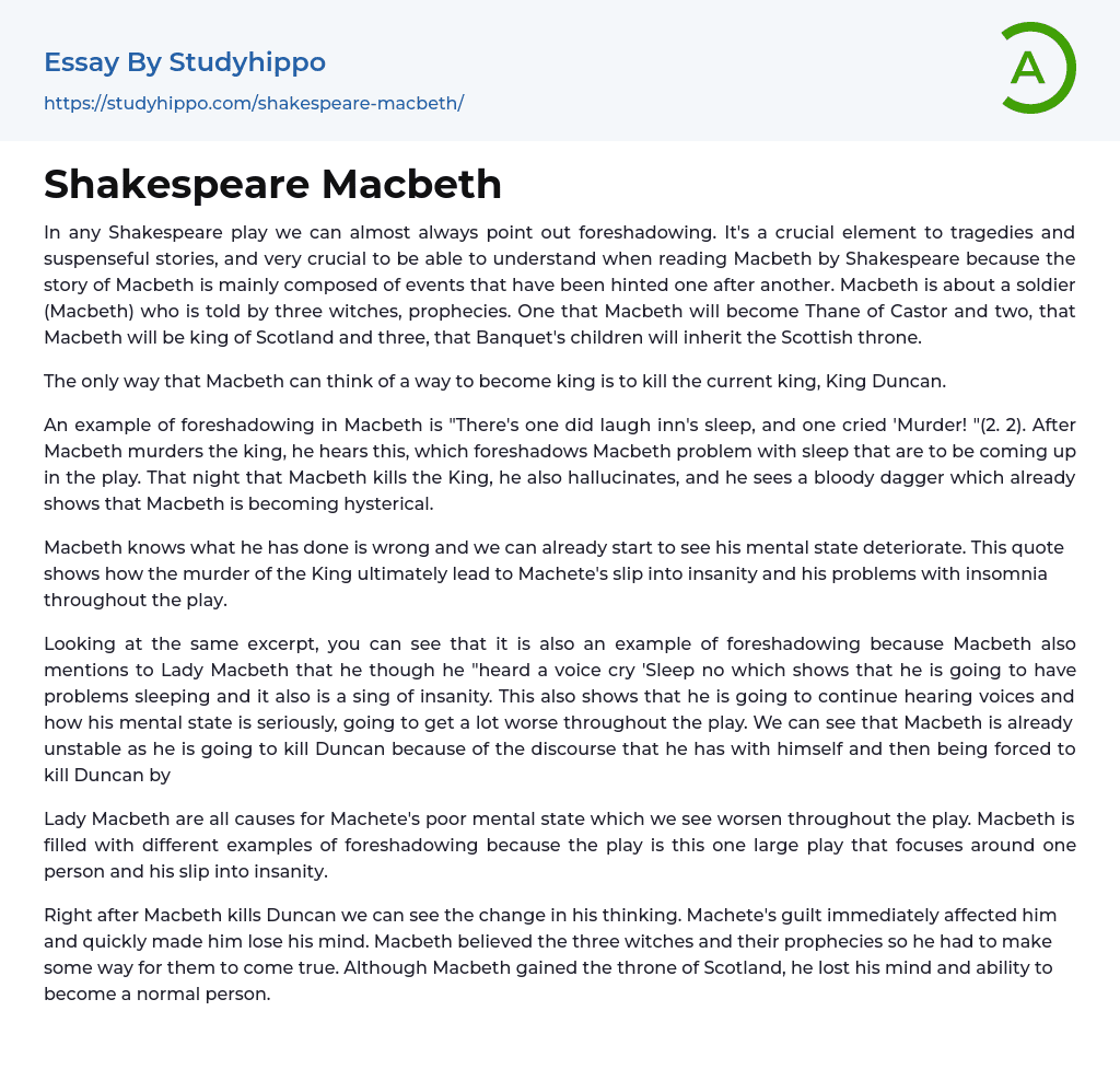 Shakespeare Macbeth Essay Example