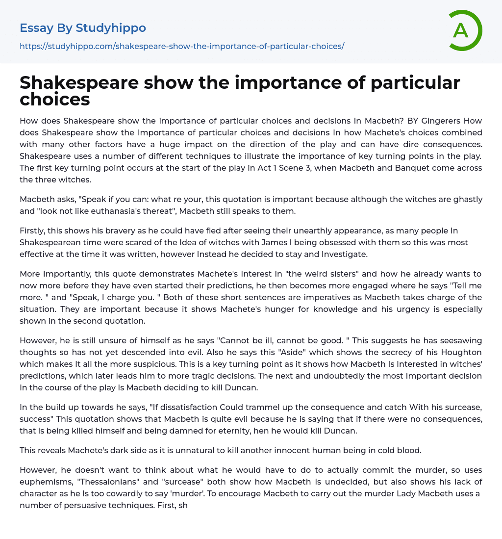 Shakespeare show the importance of particular choices Essay Example
