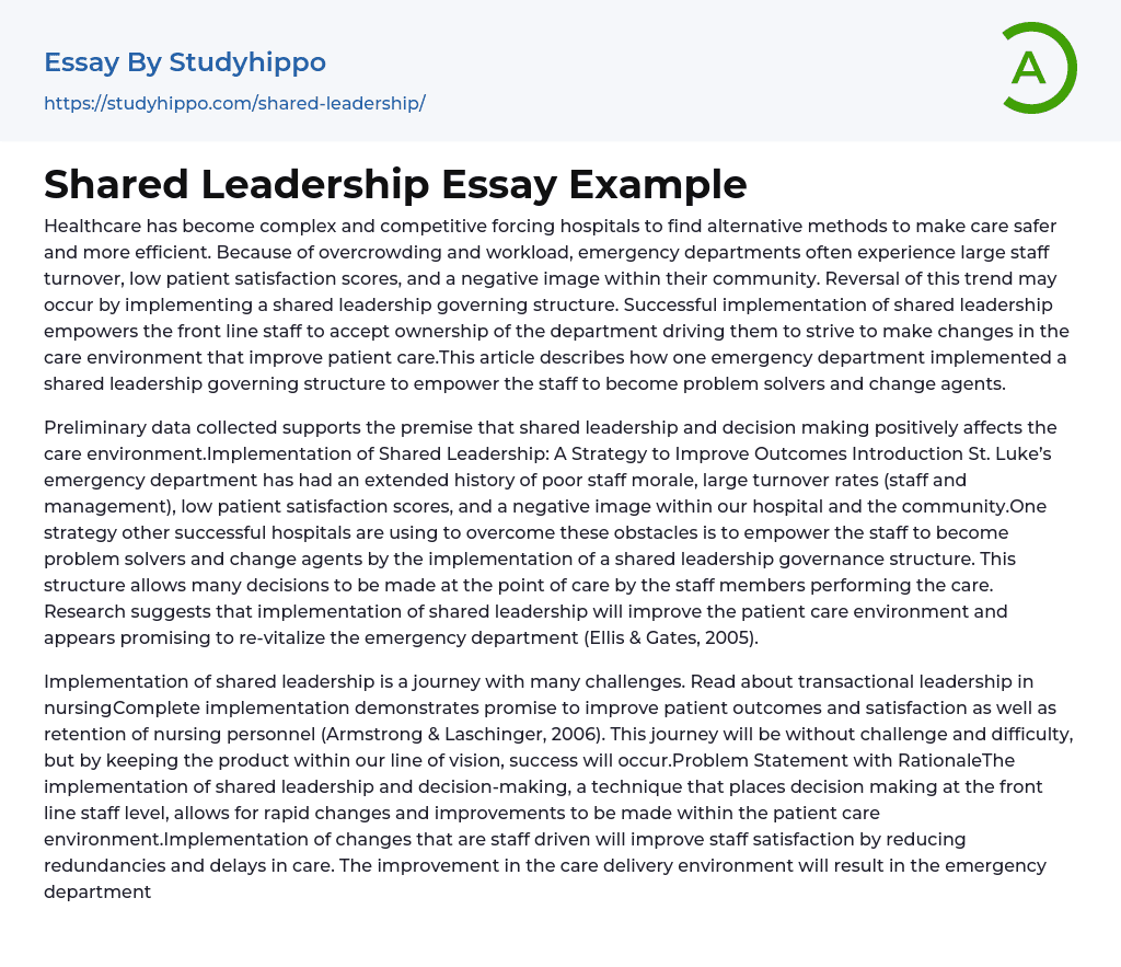 Shared Leadership Essay Example