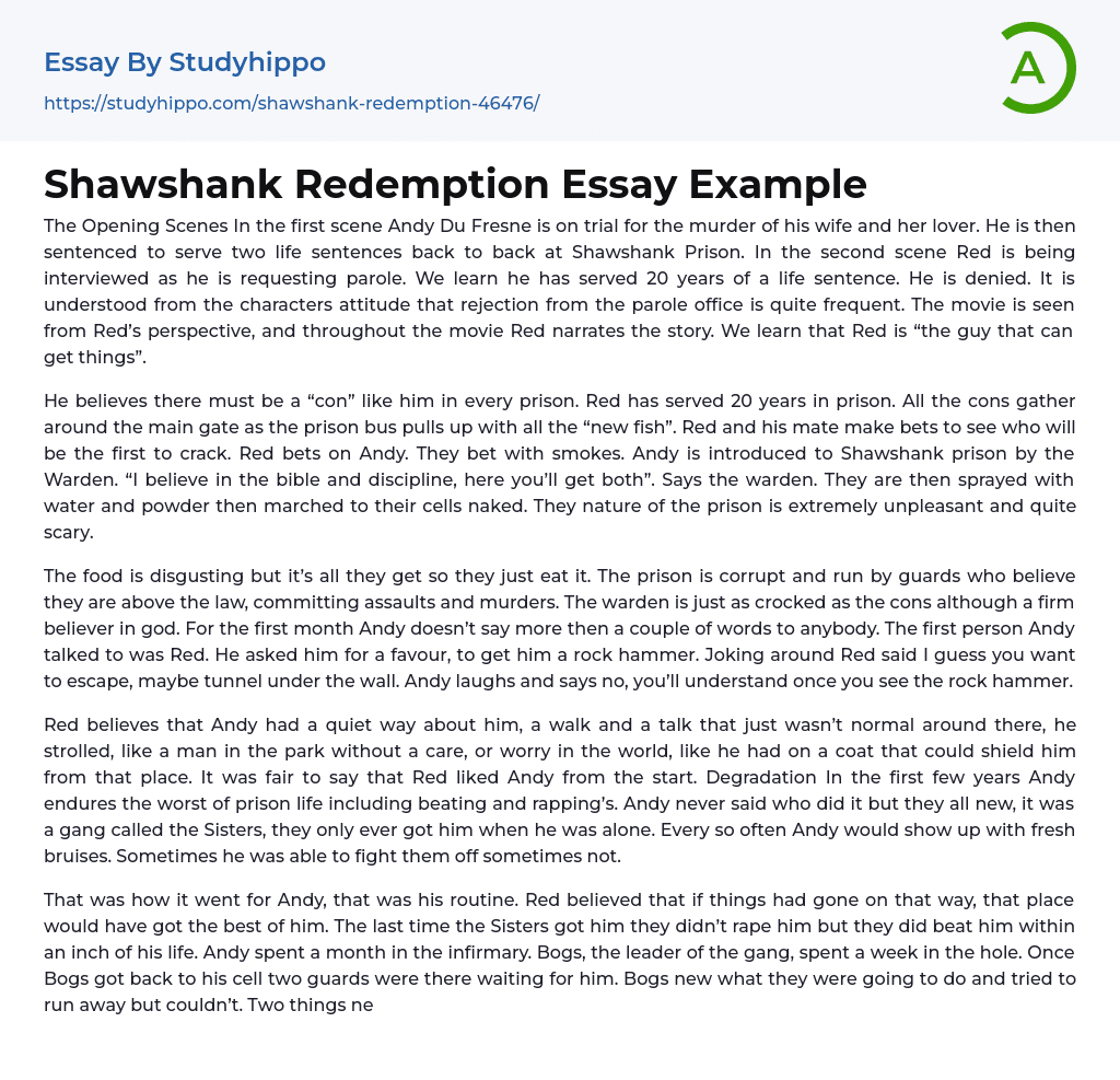 Shawshank Redemption Essay Example