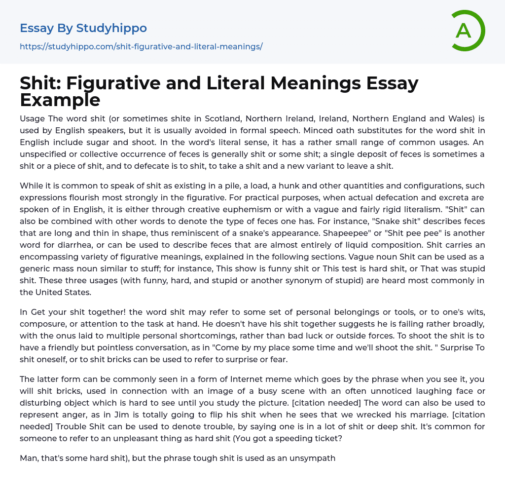 Shit: Figurative and Literal Meanings Essay Example