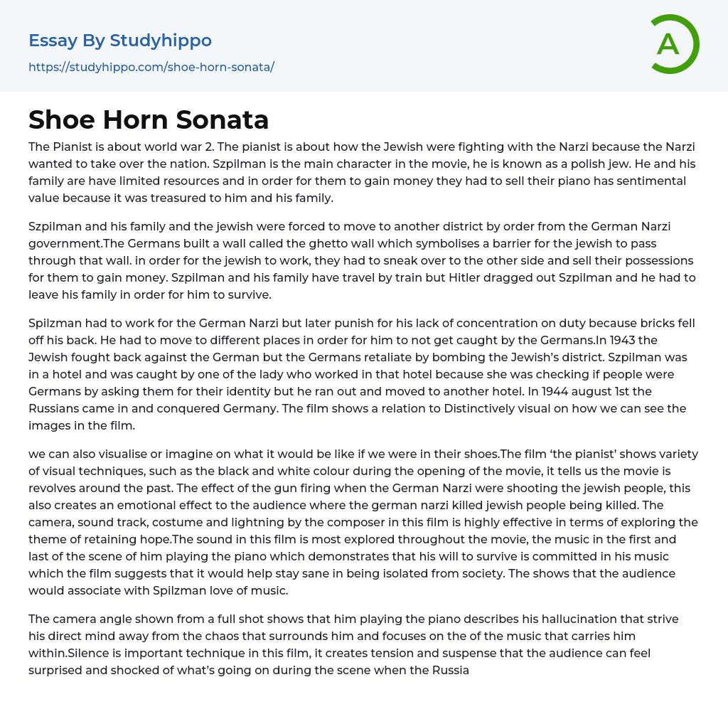 Shoe Horn Sonata Essay Example