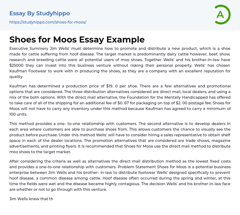 Shoes for Moos Essay Example