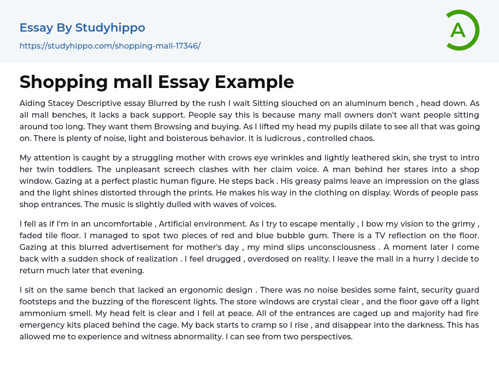 essay on visit to shopping mall