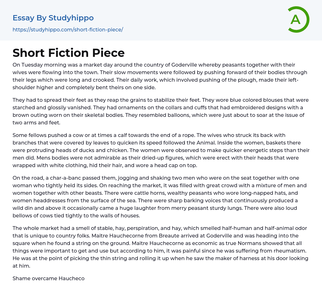 Short Fiction Piece Essay Example