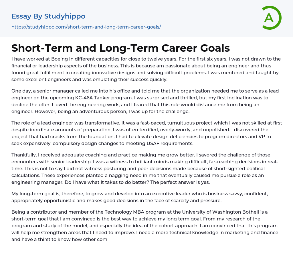 Short Term And Long Term Career Goals Essay Example StudyHippo