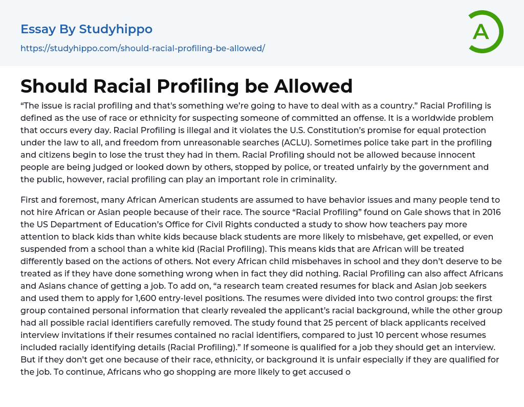 Should Racial Profiling be Allowed Essay Example