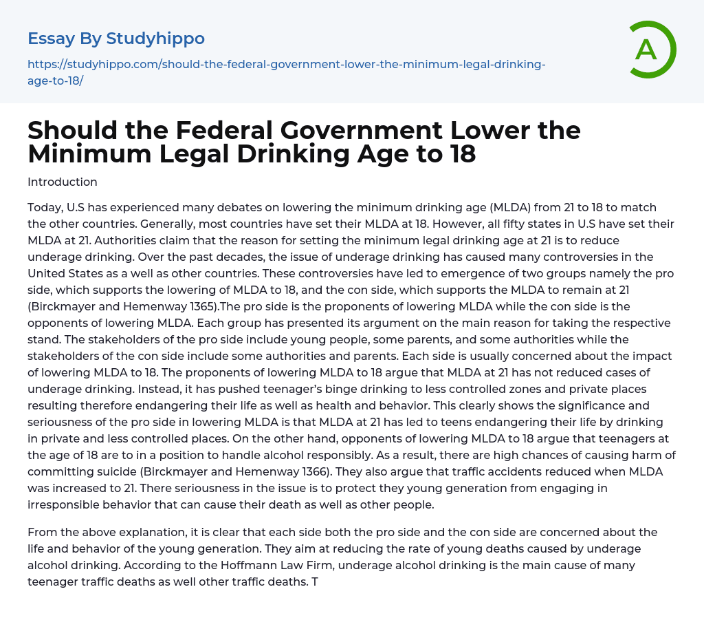 Should the Federal Government Lower the Minimum Legal Drinking Age to 18 Essay Example