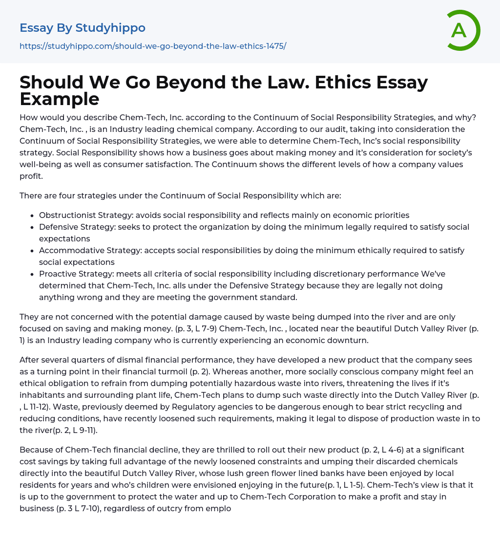 Should We Go Beyond the Law. Ethics Essay Example